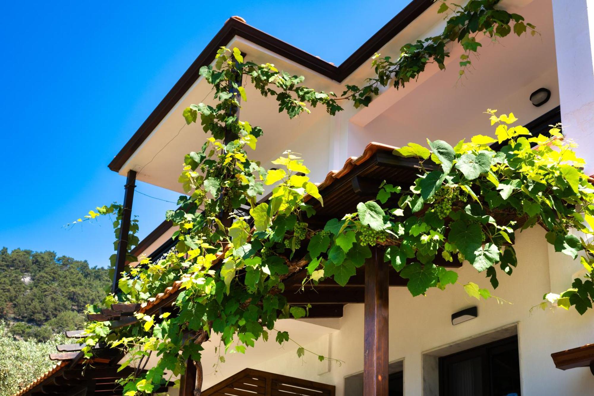 Golden Beach  Island View Villa מראה חיצוני תמונה